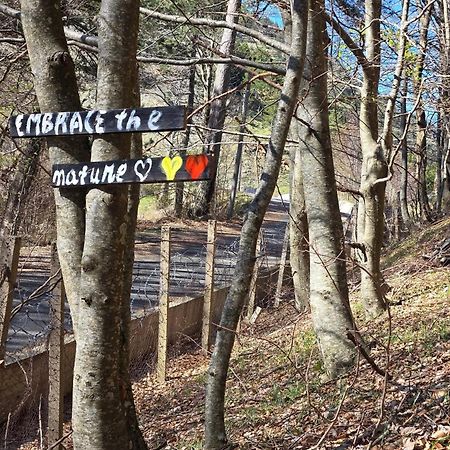 Shkreli Resort Qafeshtame Cudhi-Kamt Zewnętrze zdjęcie